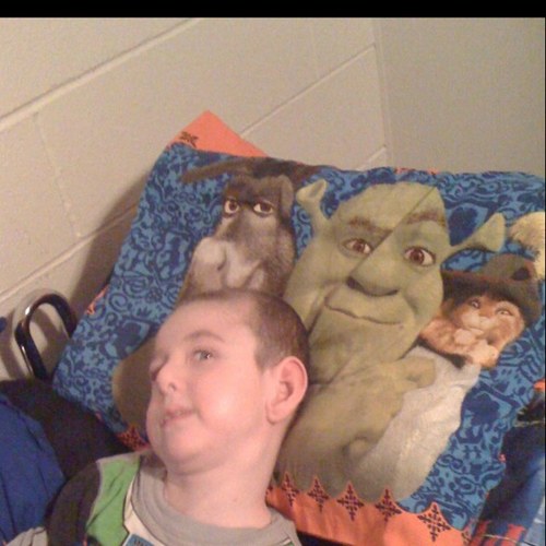 rollyrockz's profile picture. 