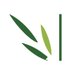 bamboobioproducts (@bamboobp) Twitter profile photo bamboobioproducts (@bamboobp) Twitter profile photo