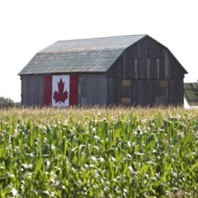 Conservative from rural Canada tired of Big Government's over regulation, red tape, and high taxation on hard working Canadian families