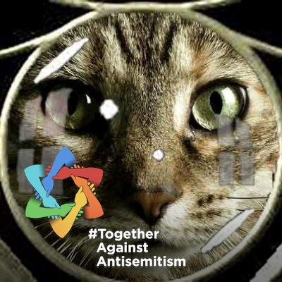 JerusalemCats Profile Picture