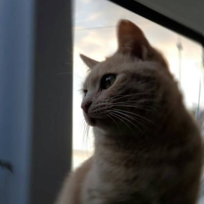 Miさんのプロフィール画像