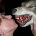 Horror Girl (@horrorgirl) Twitter profile photo