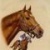 The_Knight_Sky's profile picture. Eclectic tweets related to US racing, sports, human interest and beyond.  Passionate on issues that concern you the horse racing consumer.