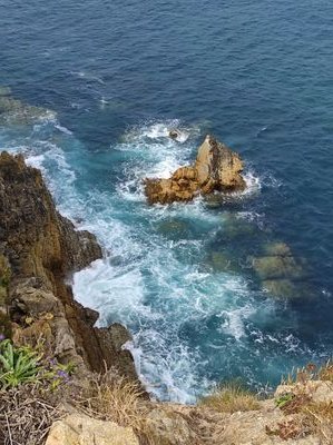 FjCarrascal's profile picture. 🤘