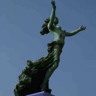 ckosei's profile picture. 