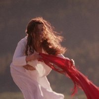 spiffy (@nicechestahead) 's Twitter Profile