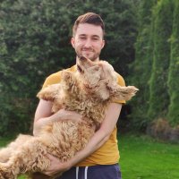 Luke (@lukemcl) 's Twitter Profile