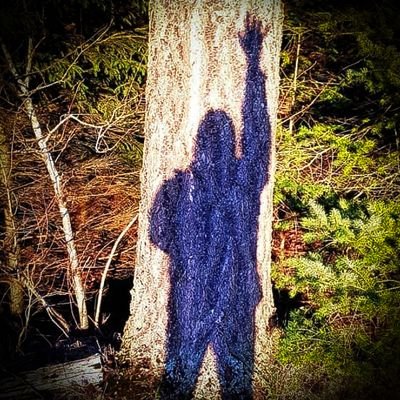 ErikKaagaard's profile picture. 