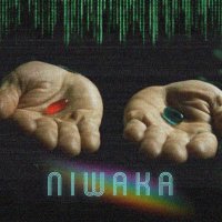 NIWAKA 𓁿(@NWKdeGOD) 's Twitter Profile Photo