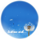 Debbie & Michelle - @justonewishuk - Twitter