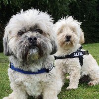 Eddie Gaw (@eg28961) 's Twitter Profile Photo