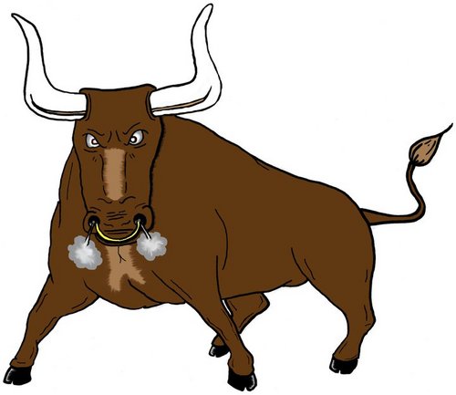 Barrowbull's profile picture. BarrowBull is a motorised wheelbarrow .Let Barrowbull carry your heavy loads.