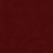 HKNF_02's profile picture. 