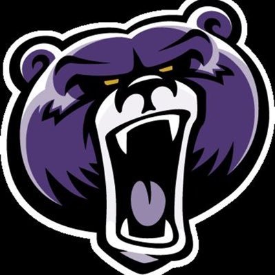 BUBruinsVB Profile