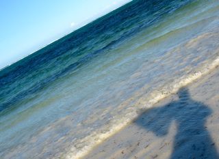 hpfahl's profile picture. provocative intrepreneur - passionate about driving sustainability and equality through supply. humanitarian, loyal friend and dog mom-tweets mine