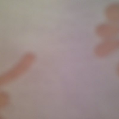 O31p2's profile picture. Acredite todos os dias. Tudo é possível. 💛