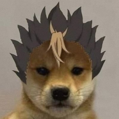 GuilleTemp's profile picture. 