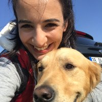 Pelin Dikmen Yildiz (@drpelindikmen) 's Twitter Profile