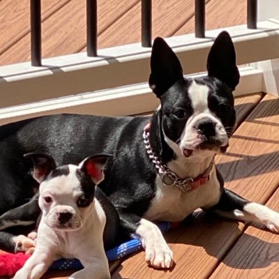 GlynnSheffer's profile picture. The “New normal” isn’t normal. Happily married for over 30y, mother of 2 grown kids, Navy wife, Army brat. Love God and my country!