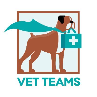 Vet_teams Profile Picture