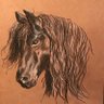 DonasTheHorse's profile picture. Scot..ish horse from Outlander.