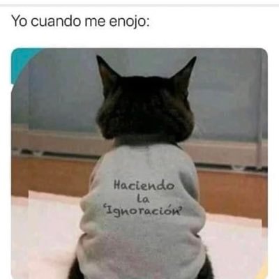 Lo más terrible se aprende enseguida y lo hermoso nos cuesta la vida