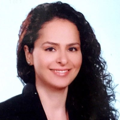 BakVenus's profile picture. English Language Teacher , Lifetime learner @Georgetown University @Bahcesehir University