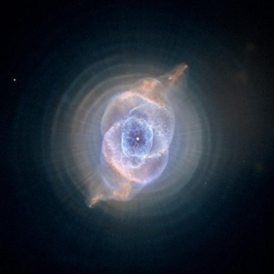 Random_Observer_X Profile