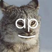 kamuter (@ableparris) 's Twitter Profile Photo kamuter (@ableparris) 's Twitter Profile Photo