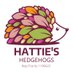 Hattie's Hedgehogs (@hattieshogs) Twitter profile photo Hattie's Hedgehogs (@hattieshogs) Twitter profile photo