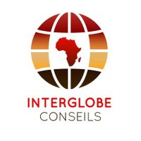 InterGlobe Conseils (@interglobec) 's Twitter Profile