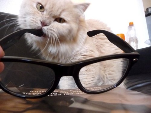 whelfius's profile picture. d-.-b