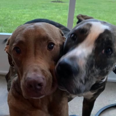 JordanC16538717's profile picture. 