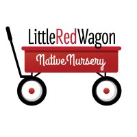Little Red Wagon Native Nursery(@butterfly_tampa) 's Twitter Profile Photo