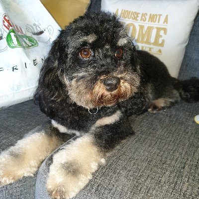 withington_liz's profile picture. 