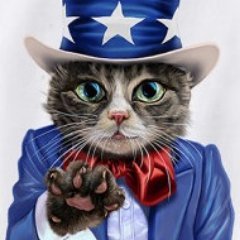 madkatter4 Profile Picture