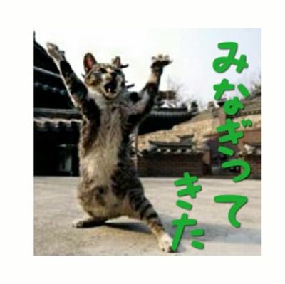 楽しいことないかなぁ Zyfb18qr6birqfw Twitter 楽しいことないかなぁ Zyfb18qr6birqfw Twitter
