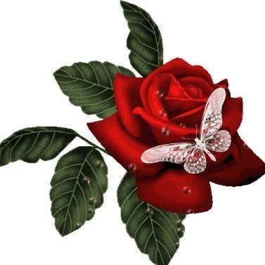 Sometimes we just have to let things go😉🌹except🇵🇸❤️