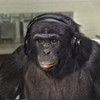 renanadda's profile picture. Mais irritante do que um fone que só funciona de um lado!