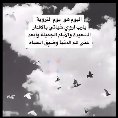 52ce32jsMbat8Yb's profile picture. جدة