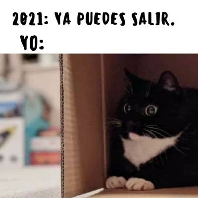 Windelr0's profile picture. despreocupado, dejar que las cosas pasen.