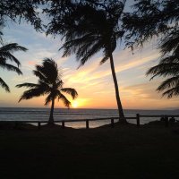 Diane Robertson (@drobertson7474) 's Twitter Profile