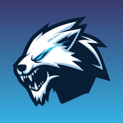 majidcool12332's profile picture. I don't use twitter much