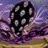 gray_road_dayo's profile image