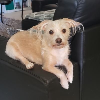 MandyfromSA's profile picture. 