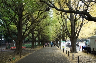 explorer0218's profile picture. 