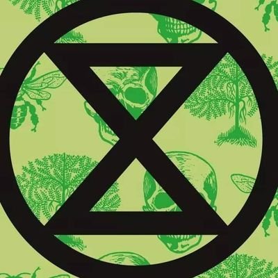 Rebelarse por la vida mediante la desobediencia civil no violenta, con amor y furia ✊🏼🌍
Estamos en emergencia climática y ecológica ⚠️📣