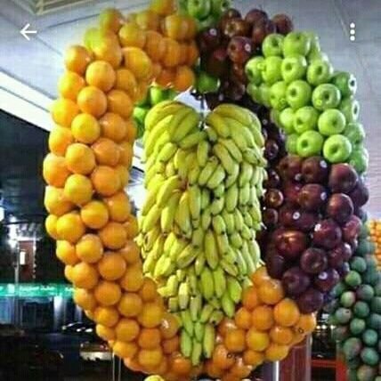 plk_rmj's profile picture. Electro_tecnicien