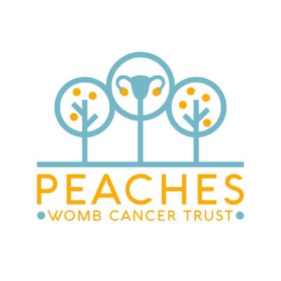 UK charity working to improve research and awareness of womb cancer.🎗️Reg charity number 1190440