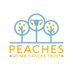 Peaches Womb Cancer Trust (@peachestrust) Twitter profile photo